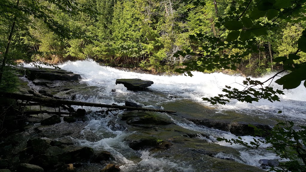 Buttermilk Falls Resort | 16941 ON-35, Algonquin Highlands, ON K0M 1J1, Canada | Phone: (705) 489-1904