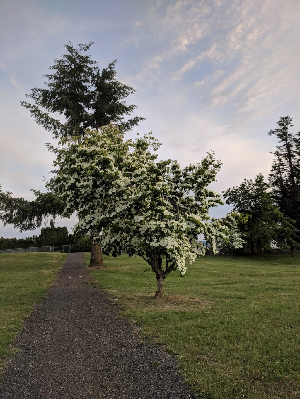 Griner Park | 32835 Janzen Ave, Mission, BC V2V 2T4, Canada
