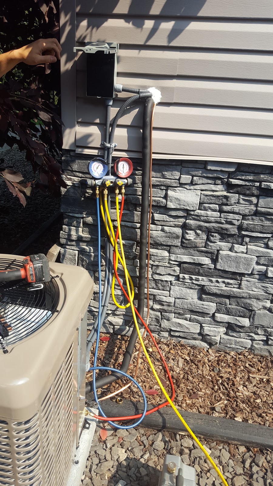 Blooms Growing Technologies | 11410 166 Ave NW, Edmonton, AB T5X 4B1, Canada | Phone: (780) 999-4020