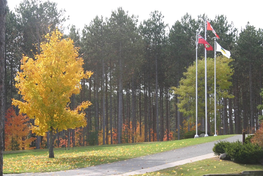 Cookstown Community Theatre | 1 GARBALDI ST, Cookstown, ON L0L 1L0, Canada