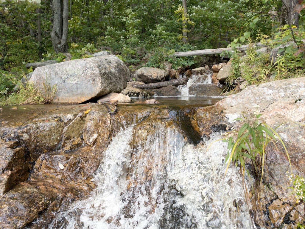 Luskville Falls | 276 Chem. de lHôtel de Ville, Luskville, QC J0X 2G0, Canada | Phone: (819) 827-2020