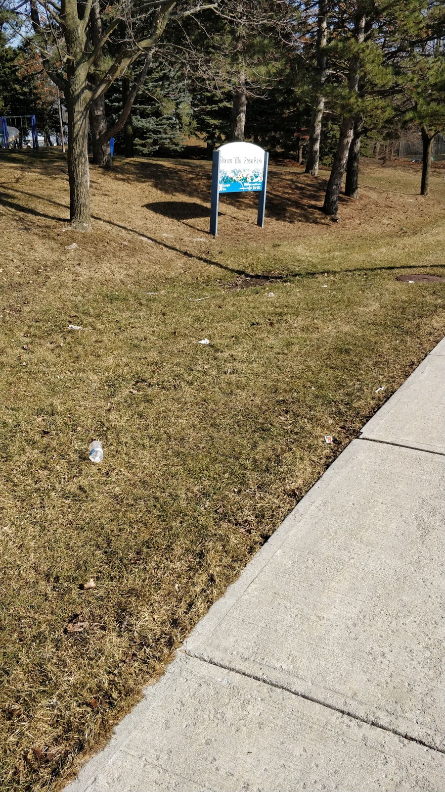 Shawn Blu Rose Park | 30 Empringham Dr, Toronto, ON M1B, Canada | Phone: (416) 338-4386