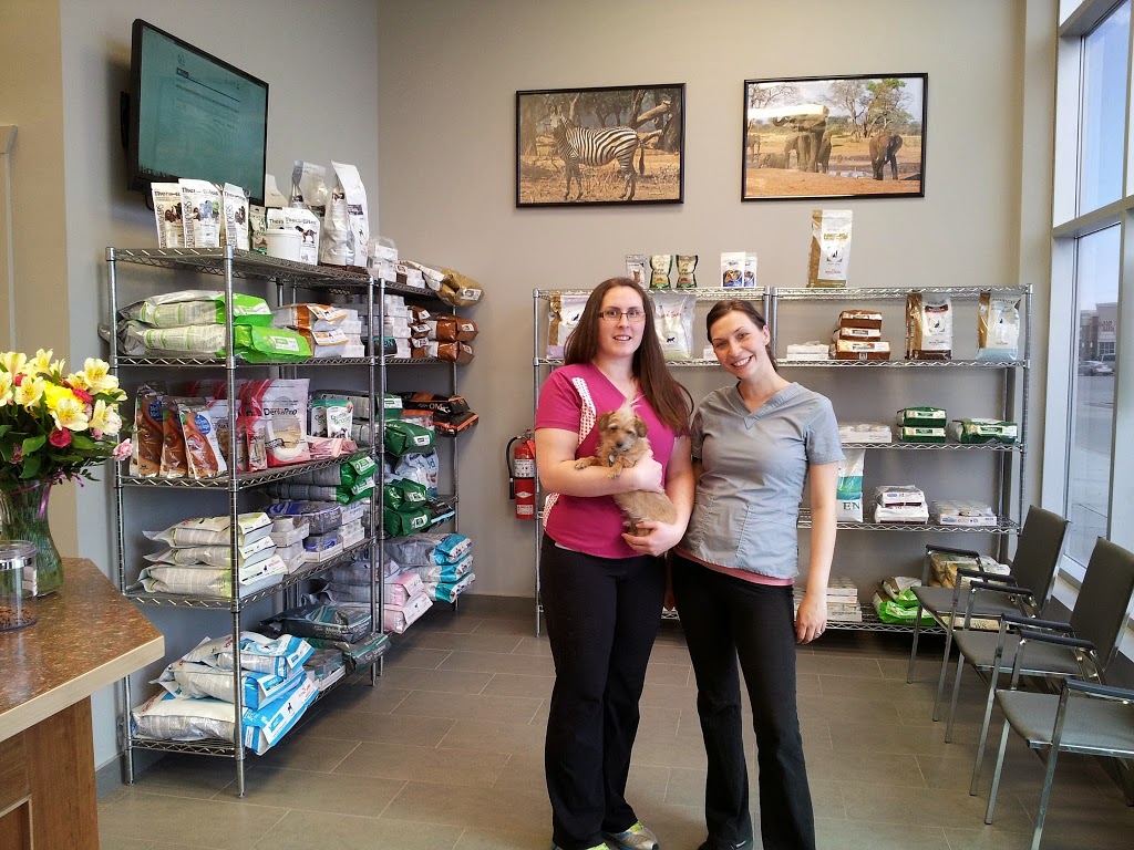 Okotoks Veterinary Clinic | 105 Southbank Blvd #203, Okotoks, AB T1S 0G1, Canada | Phone: (403) 995-9700
