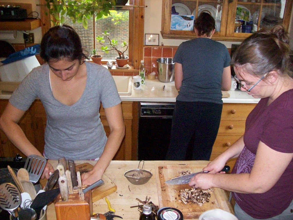 Greenwood Botanicals | RR 1, Locust Hill, ON L0H 1J0, Canada | Phone: (905) 428-7969