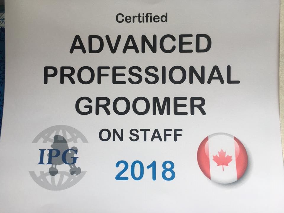 Primpaws Pet Grooming | Sundance, Calgary, AB T2X 1T6, Canada | Phone: (403) 863-8428