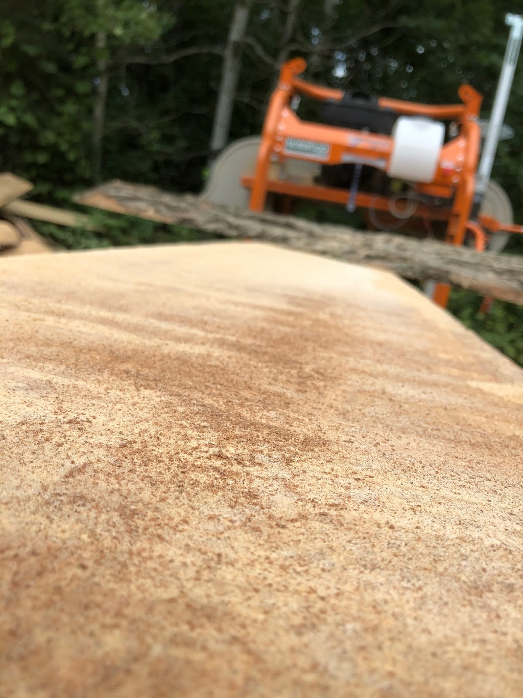 Third Day Sawmill | 1118 Brodie Dr, Severn, ON L3V 0V2, Canada | Phone: (705) 309-6019