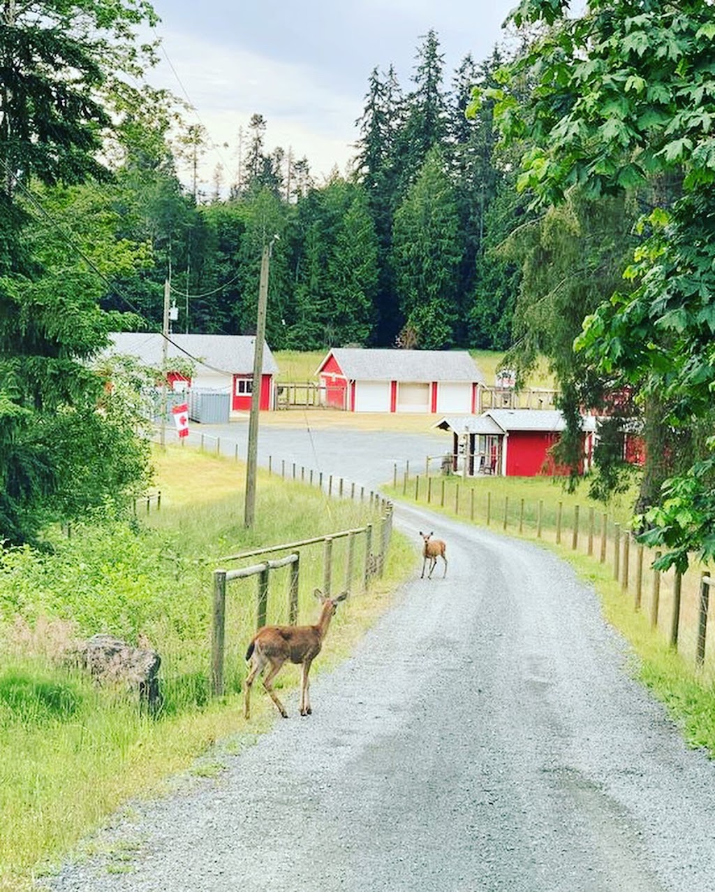 Freedom Health And Massage Therapy | Located in Blue Moon Acres Farm, 1000 Gold Rd Building 2, Qualicum Beach, BC V9K 2G6, Canada | Phone: (604) 655-5514