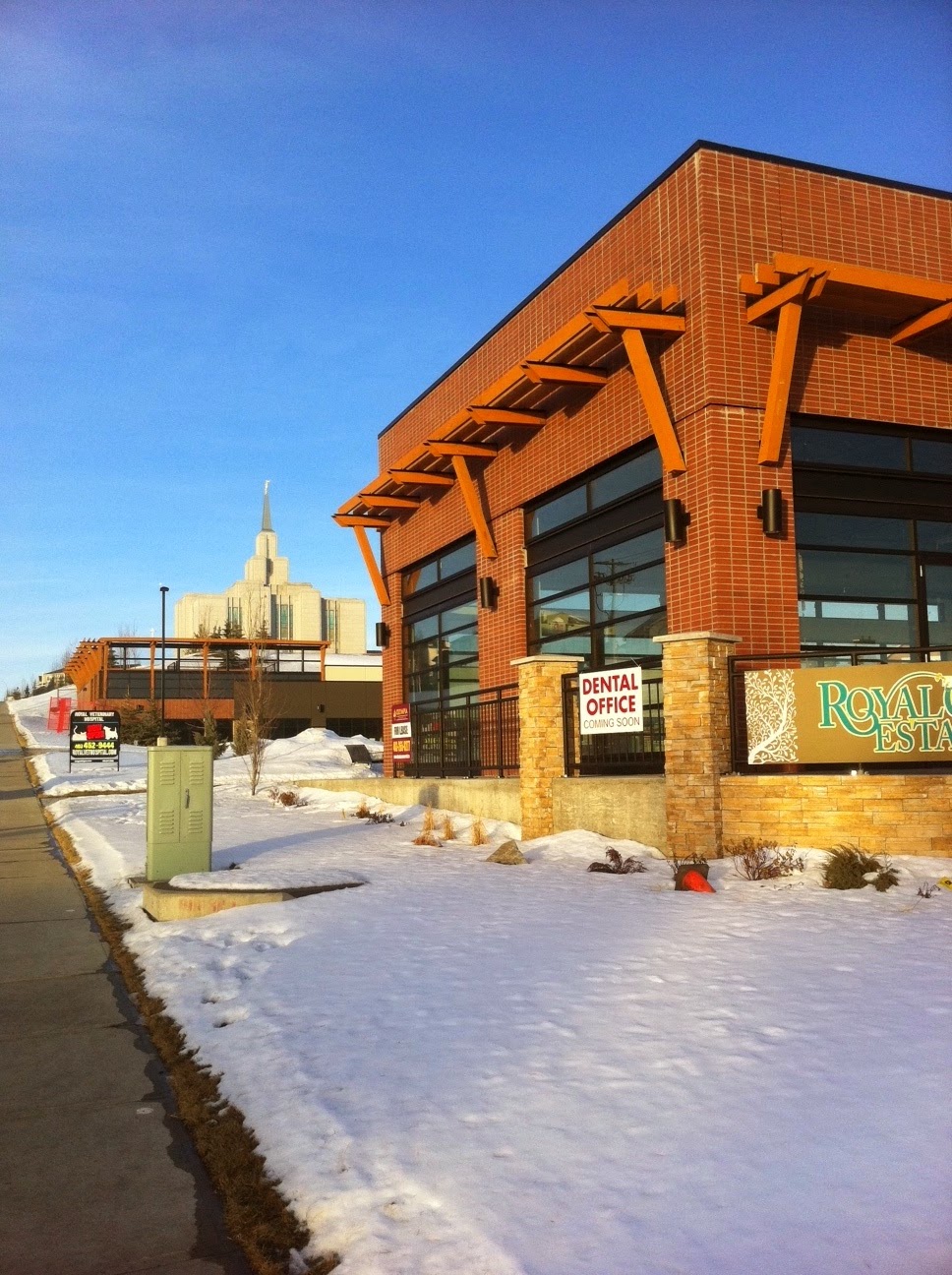 Royal Veterinary Hospital | 108-500 Royal Oak Dr NW, Calgary, AB T3G 0E8, Canada | Phone: (403) 452-9444