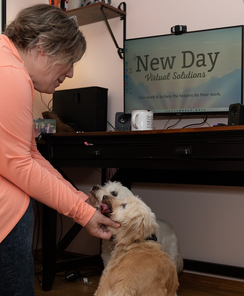 New Day Virtual Solutions | 19543 Township Rd 440, Edberg, AB T0B 1J0, Canada | Phone: (403) 581-1717