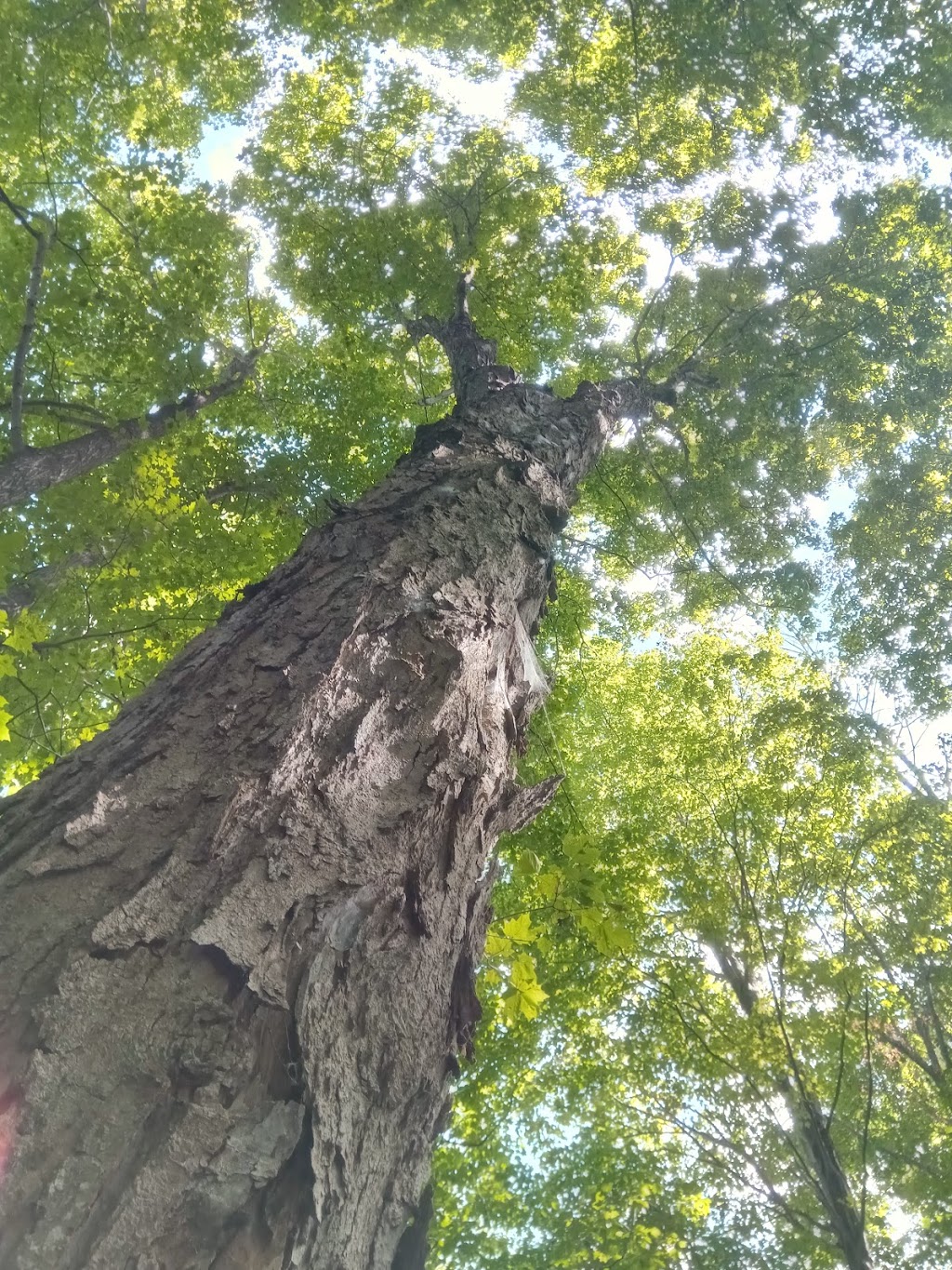 Bannockburn Conservation Area | 76249 Bannockburn Line, Exeter, ON N0M, Canada, Canada | Phone: (888) 286-2610