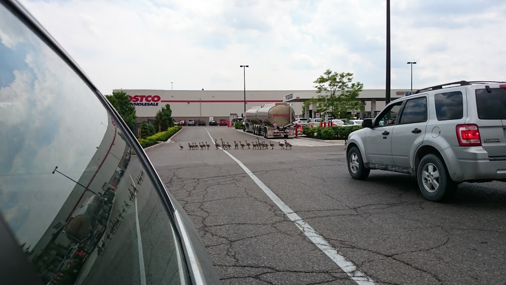 Costco Gas | 71 Colossus Dr, Woodbridge, ON L4L 9J8, Canada | Phone: (905) 264-8337