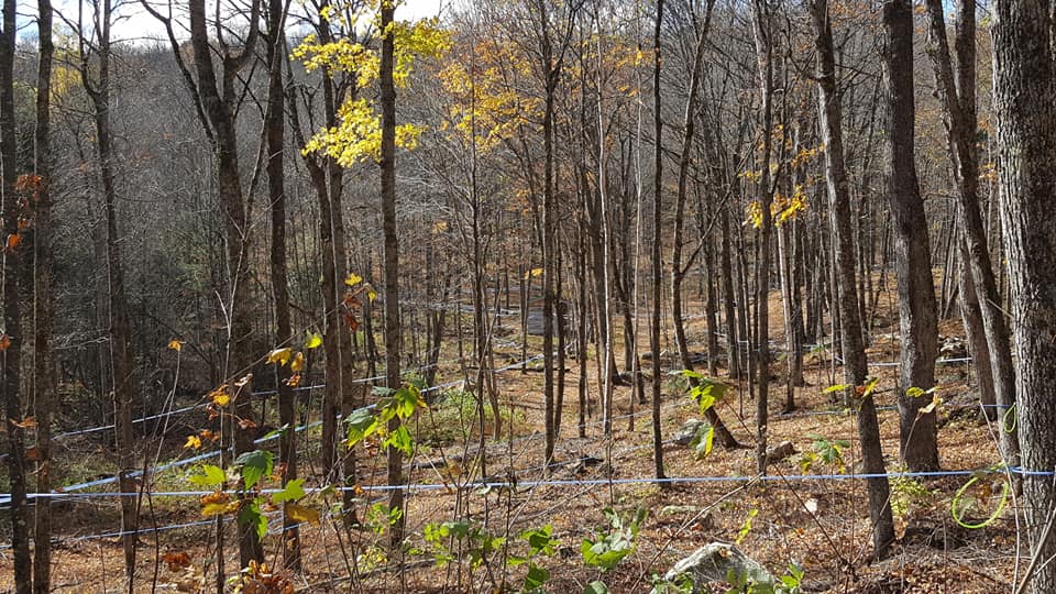 Greenmantle Farm Mineral Eco-Tours | 1984 Essonville Line Wilberforce On. K0L 3C0, Wilberforce, ON K0L 2Y0, Canada | Phone: (705) 448-3948