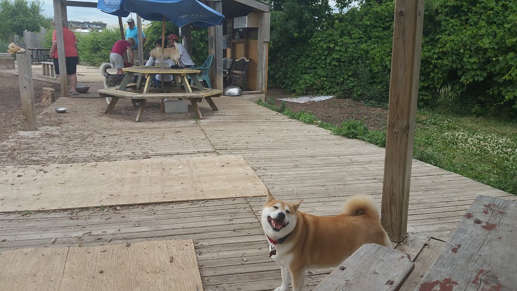 Miller Avenue Off-Leash Dog Park | 560 Miller Ave, Markham, ON L6G 1B2, Canada