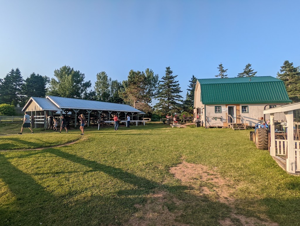 BRUDENELL RIDING STABLES | 235 Brudenell Island Blvd, Cardigan, PE C0A 1G0, Canada | Phone: (902) 652-2396