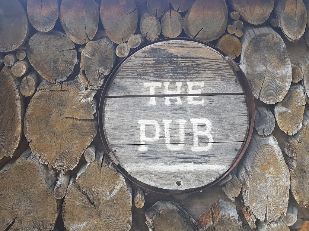 Thatch Pub | 4305 Shingle Spit Rd, Hornby Island, BC V0R 1Z0, Canada | Phone: (250) 335-2833