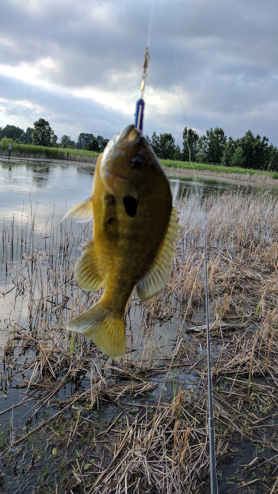 Wetzel State Recreation Area | 27 Mile Rd, New Haven, MI 48048, USA | Phone: (810) 765-5605