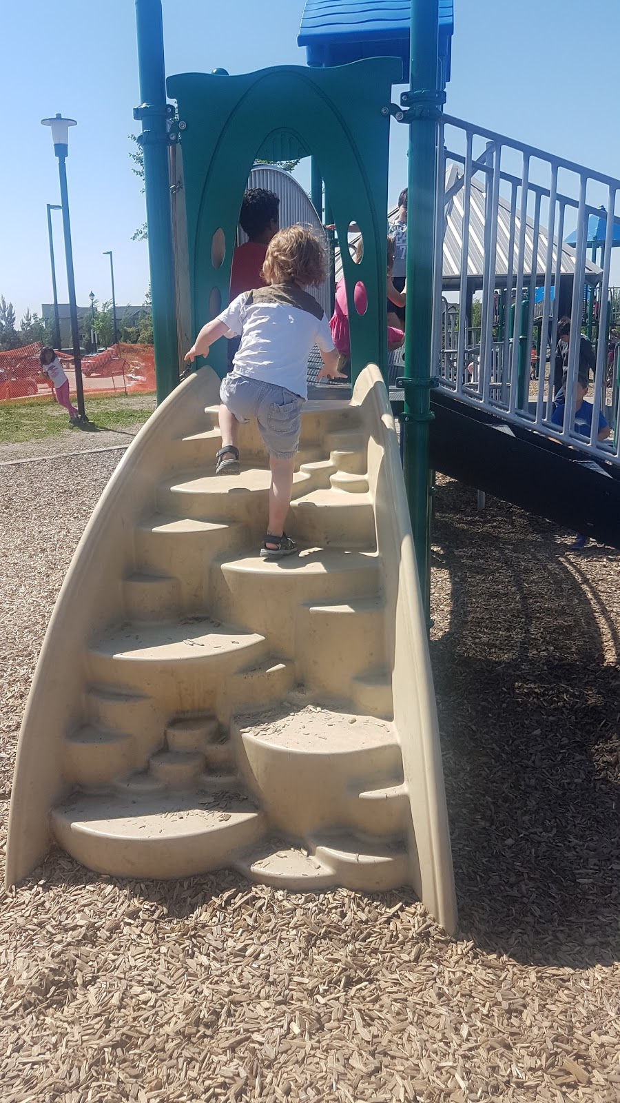 Terwillegar Towne Community Garden | Terwillegar Common NW, Edmonton, AB T6R, Canada