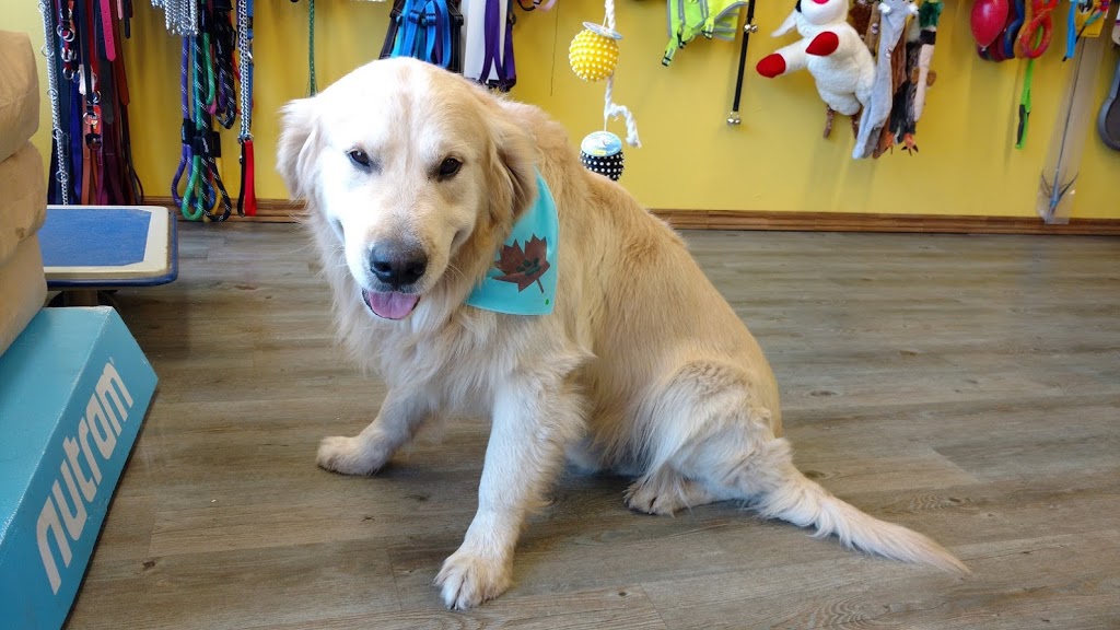 Thors Healthy Pet Foods | 3-, 3840 Dominion Rd, Ridgeway, ON L0S 1N0, Canada | Phone: (289) 876-8258