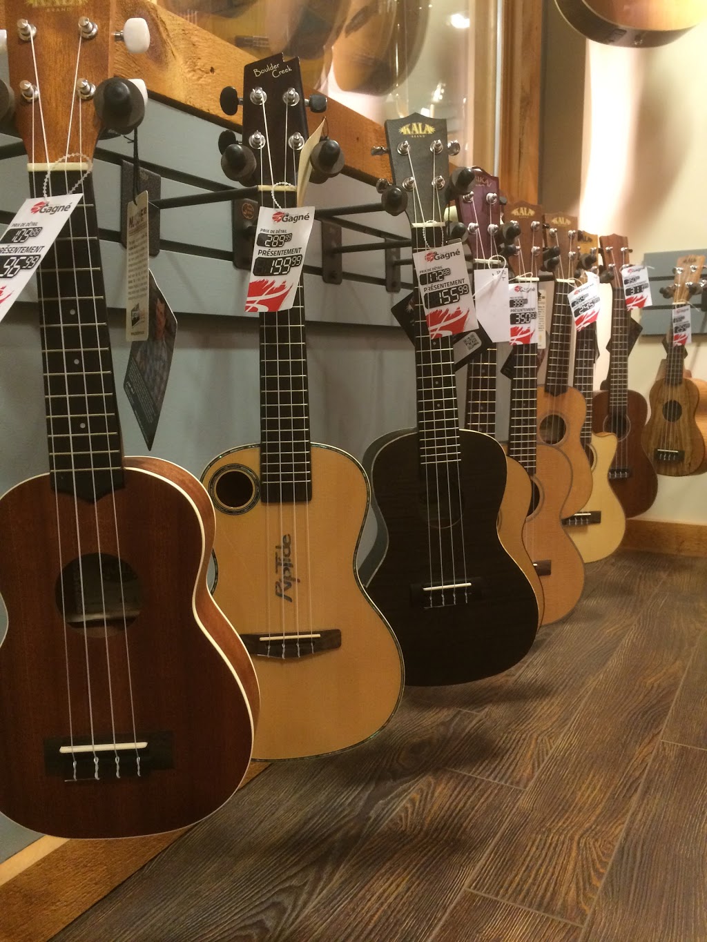 Musique Gagné | 302 Rue Durocher, Québec, QC G1K 4W9, Canada | Phone: (418) 525-8601