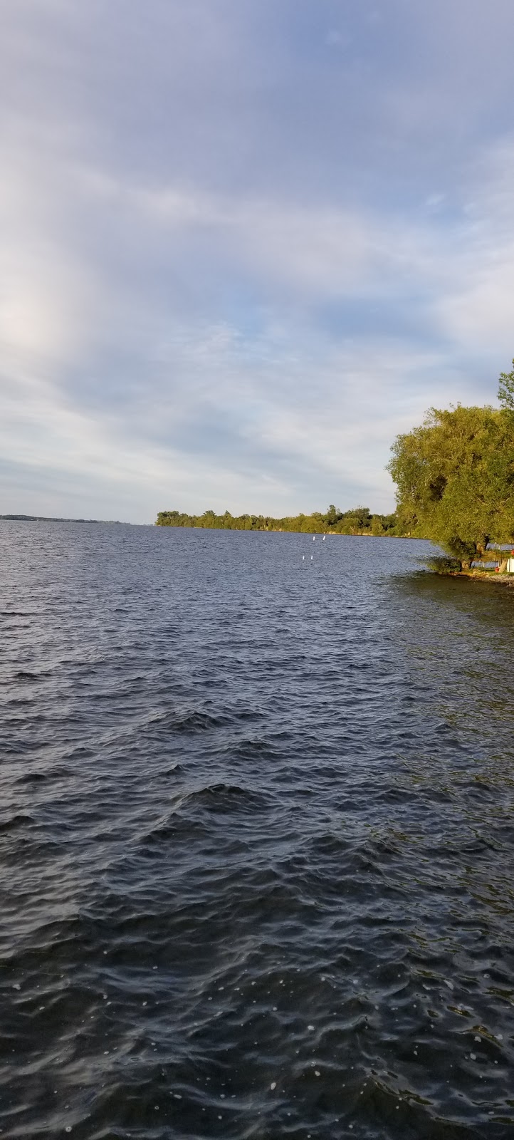 Baycrest Lodge Marina | 48 Owen Ln #2, Demorestville, ON K0K 1W0, Canada | Phone: (613) 476-5357