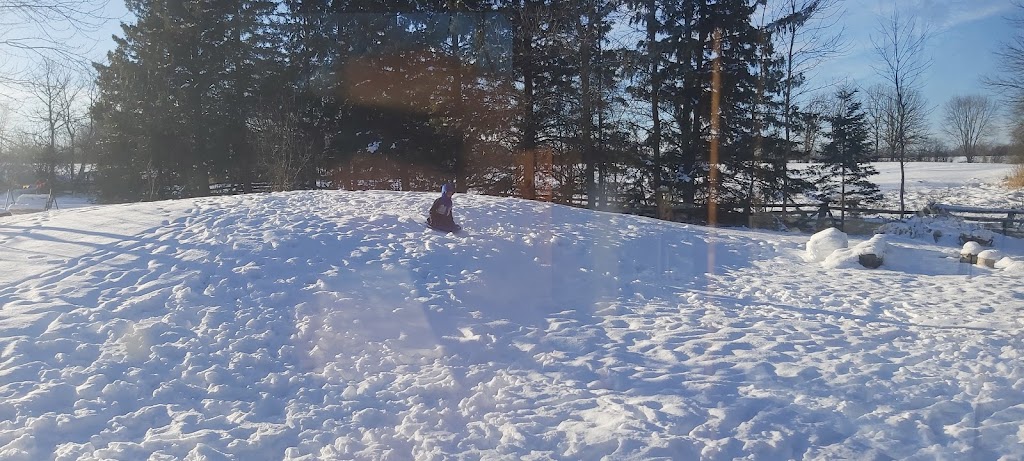 Blueberry Creek Forest School and Nature Centre | 17638 Hwy 7, Perth, ON K7H 3C6, Canada | Phone: (613) 915-3263