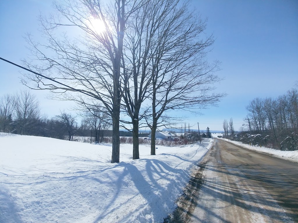 St Mary Catholic Church | Lighthouse Rd, Wiarton, ON N0H 2T0, Canada | Phone: (519) 534-3703