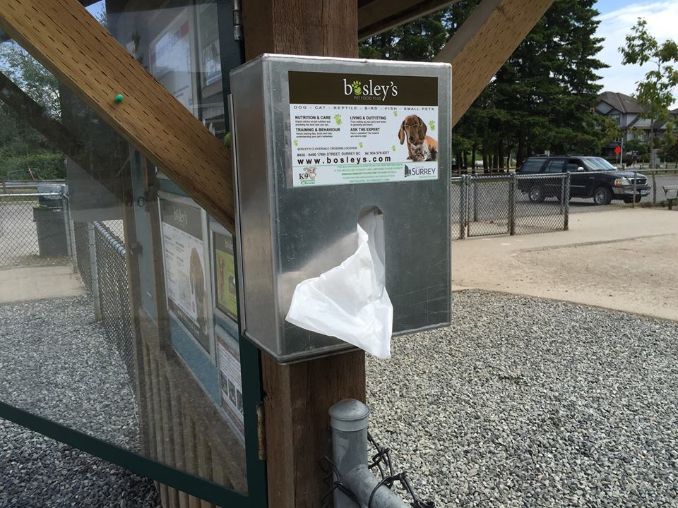 k9 Community Clean | 158 171 St, Surrey, BC V3Z 0X1, Canada | Phone: (604) 723-2116