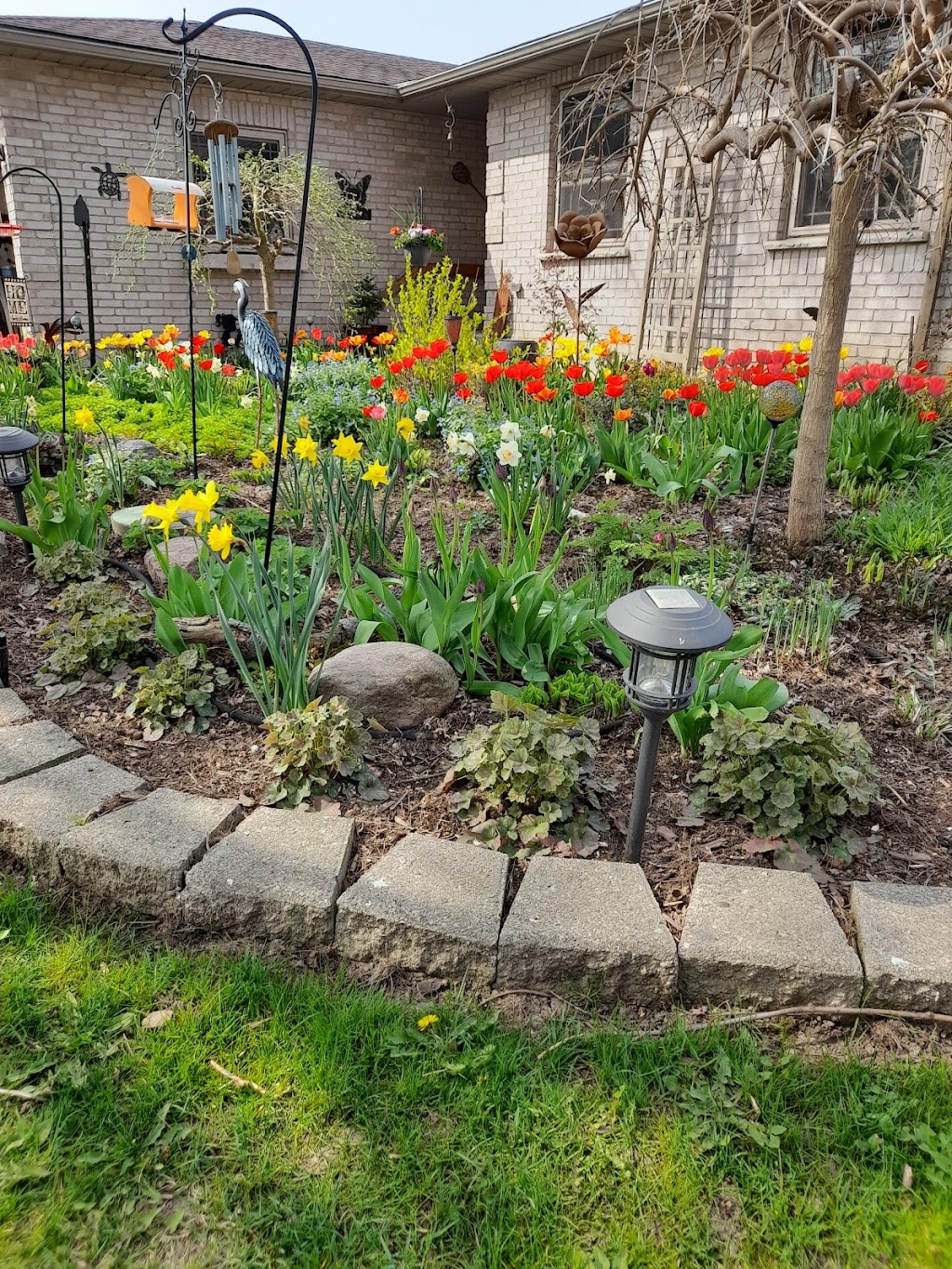 Harrys Gardening | 55 Victoria St SS1, Mitchell, ON N0K 1N0, Canada | Phone: (519) 272-9197