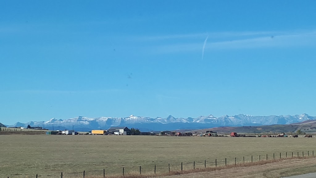 Black Diamond Valley Farm | 112 St W, Foothills No. 31, AB T0L 0H0, Canada | Phone: (403) 995-2837