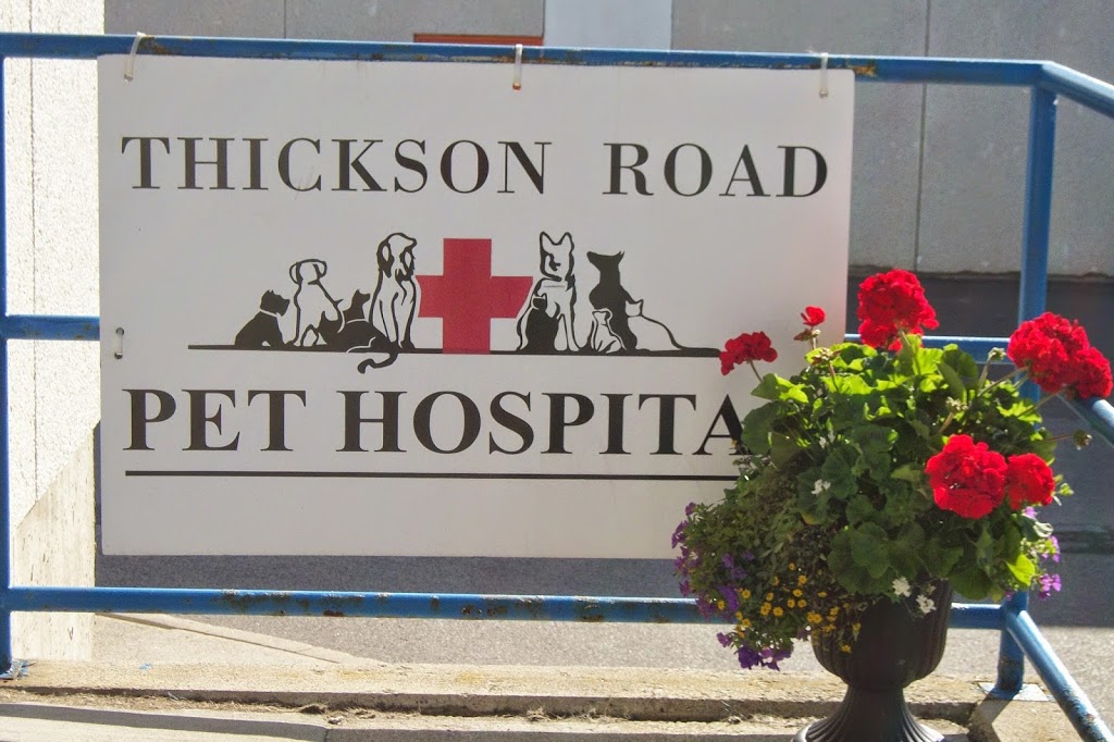 Thickson Road Pet Hospital | 1650 Victoria St E, Whitby, ON L1N 9L4, Canada | Phone: (905) 434-2885