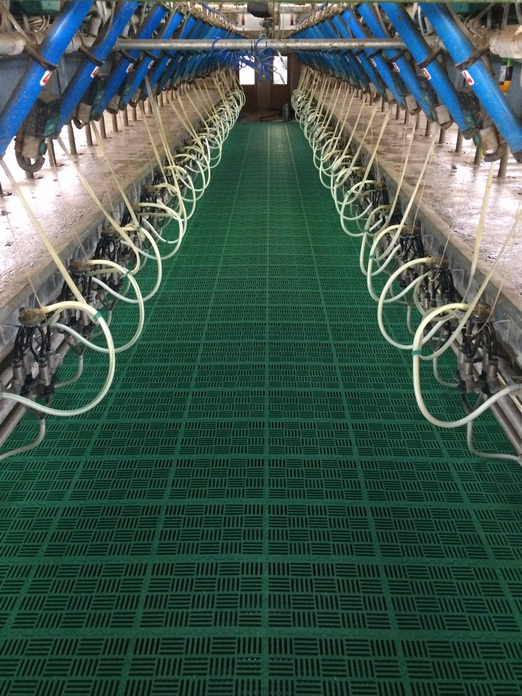 AND Dairy Equipment | 12 Bayshore Crescent, St. Catharines, ON L2N 5Y4, Canada | Phone: (905) 341-7002