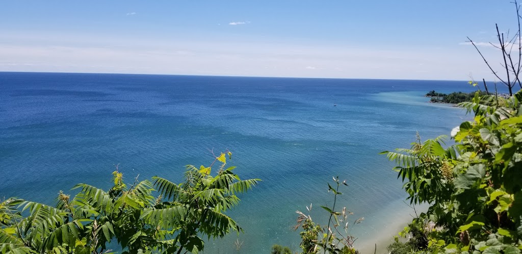 Cudia Park | 70 Meadowcliffe Dr, Scarborough, ON M1M 2X9, Canada | Phone: (416) 338-4386