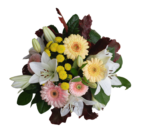 JMK Florist | 53 River Rock Ct SE, Calgary, AB T2C 4P3, Canada | Phone: (403) 492-2828