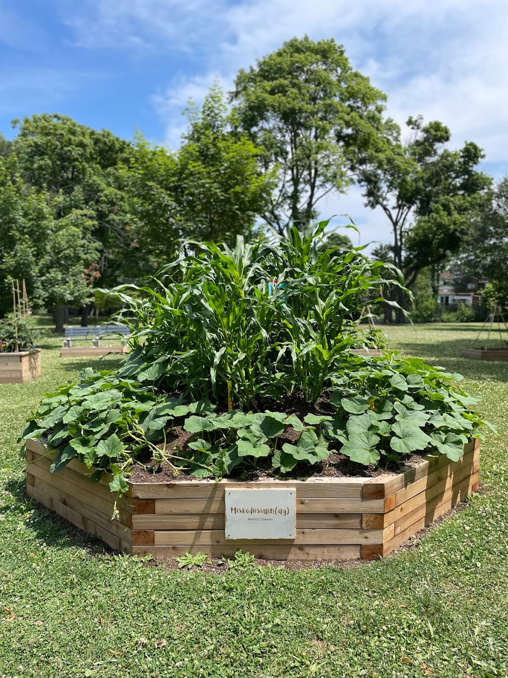 The Childrens Garden Project | 1000 Main St E, Hamilton, ON L8M 1N6, Canada | Phone: (289) 925-8612
