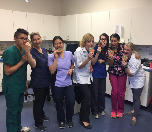 West Springs Veterinary Hospital | 917 85 St SW, Calgary, AB T3H 5Z9, Canada | Phone: (403) 249-7387