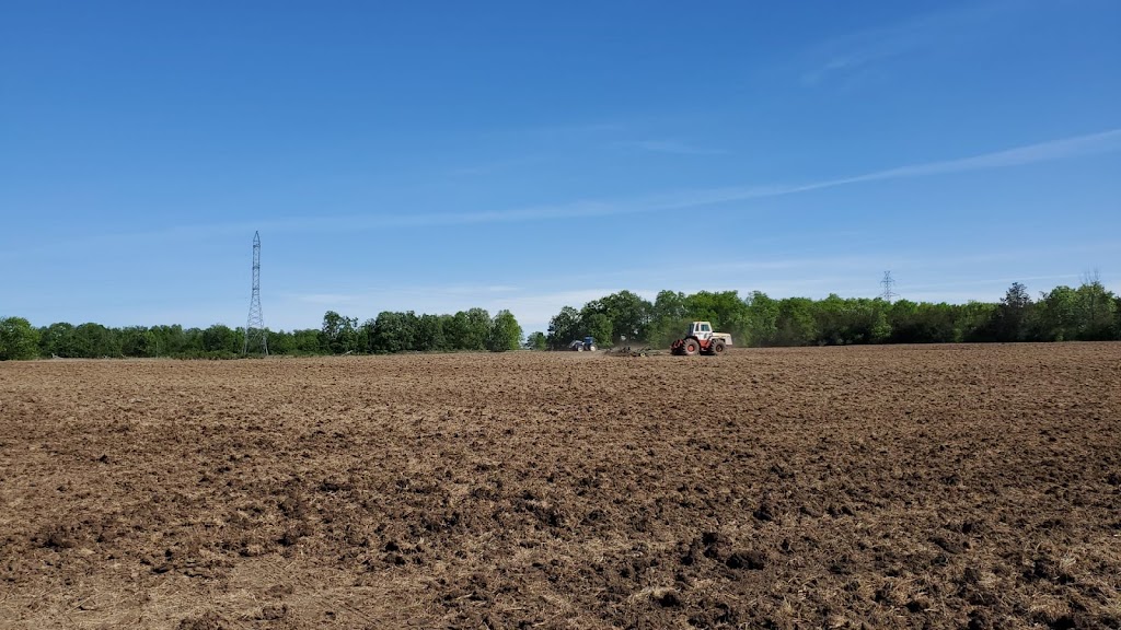 Gur Nanak Farms | 151 Gagne Rd, Prince Edward, ON K0K 2T0, Canada | Phone: (416) 402-9595