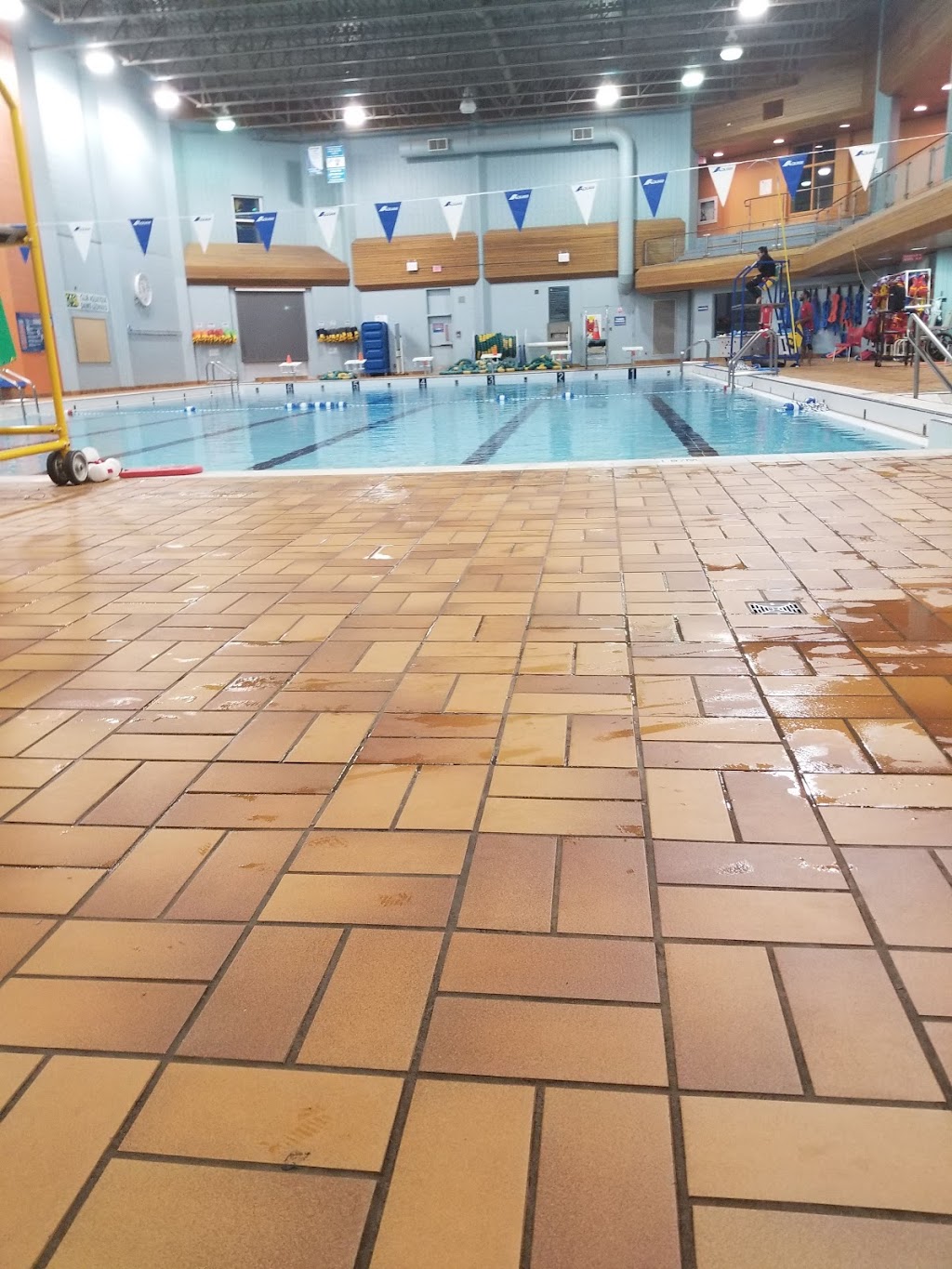 Complexe aquatique de Saint-Léonard | 5115 Rue des Galets, Saint-Léonard, QC H1R 3W6, Canada | Phone: (514) 328-8595