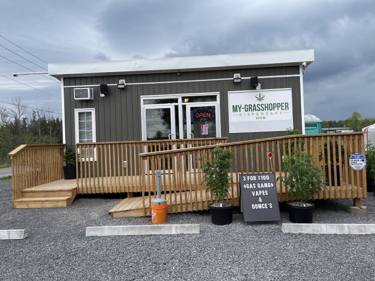 My Grasshopper Dispensary | 1160 Lower Slash Rd, Tyendinaga, ON K0K 1X0, Canada | Phone: (613) 813-6282