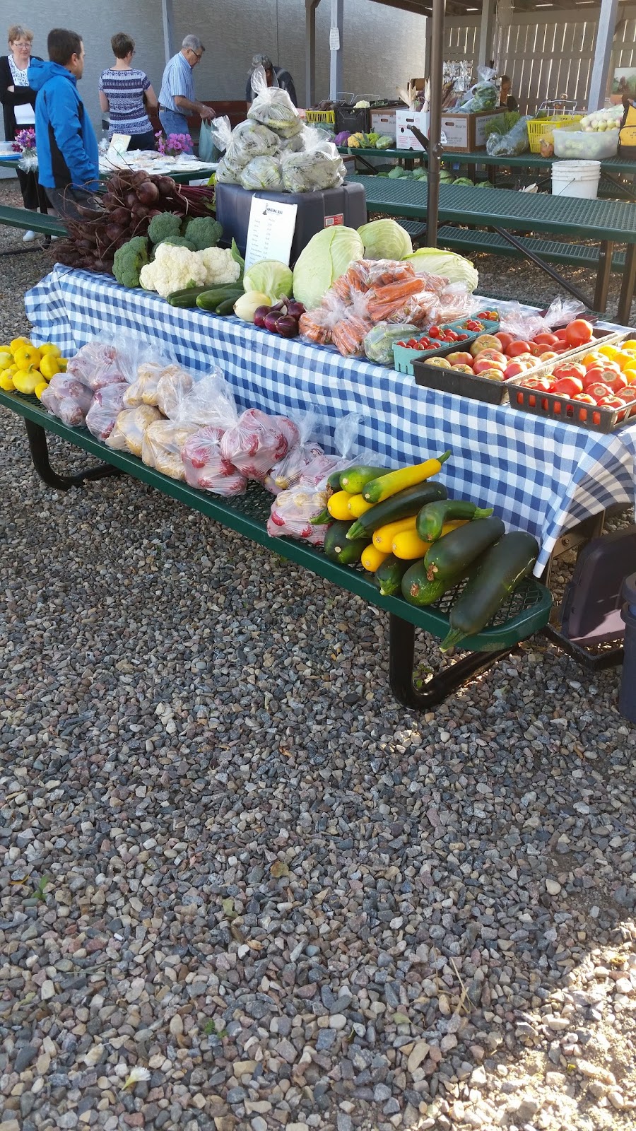 Wandering Shovel Farm | Farm, SK S0J 2M0, Canada | Phone: (306) 883-8832