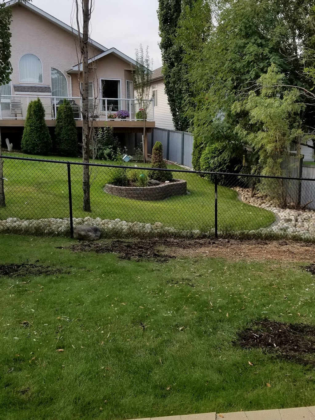 Arbor Man Tree Care | 1320 77 Ave NW, Edmonton, AB T6P 1M2, Canada | Phone: (780) 485-9663