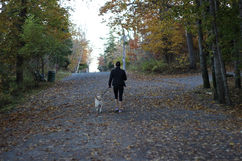 Wag Physiotherapy | 6435 Coburg Rd, Halifax, NS B3H 2A6, Canada | Phone: (902) 478-2016