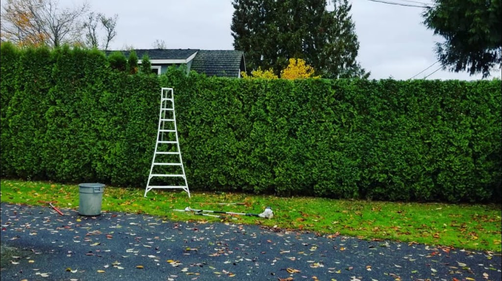 Cutting Edge Tree Service Ltd. | 8597 Henderson St, Mission, BC V2V 7P9, Canada | Phone: (604) 615-6159