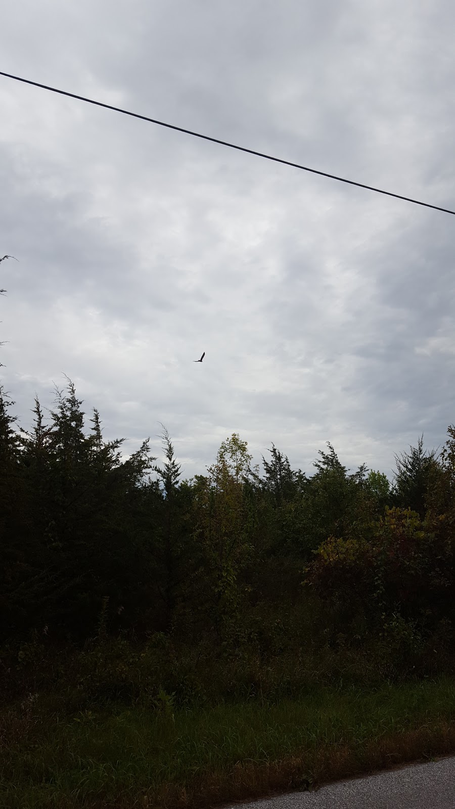 Isle La Motte Historical Society | 24 Quarry Rd, Isle La Motte, VT 05463, USA