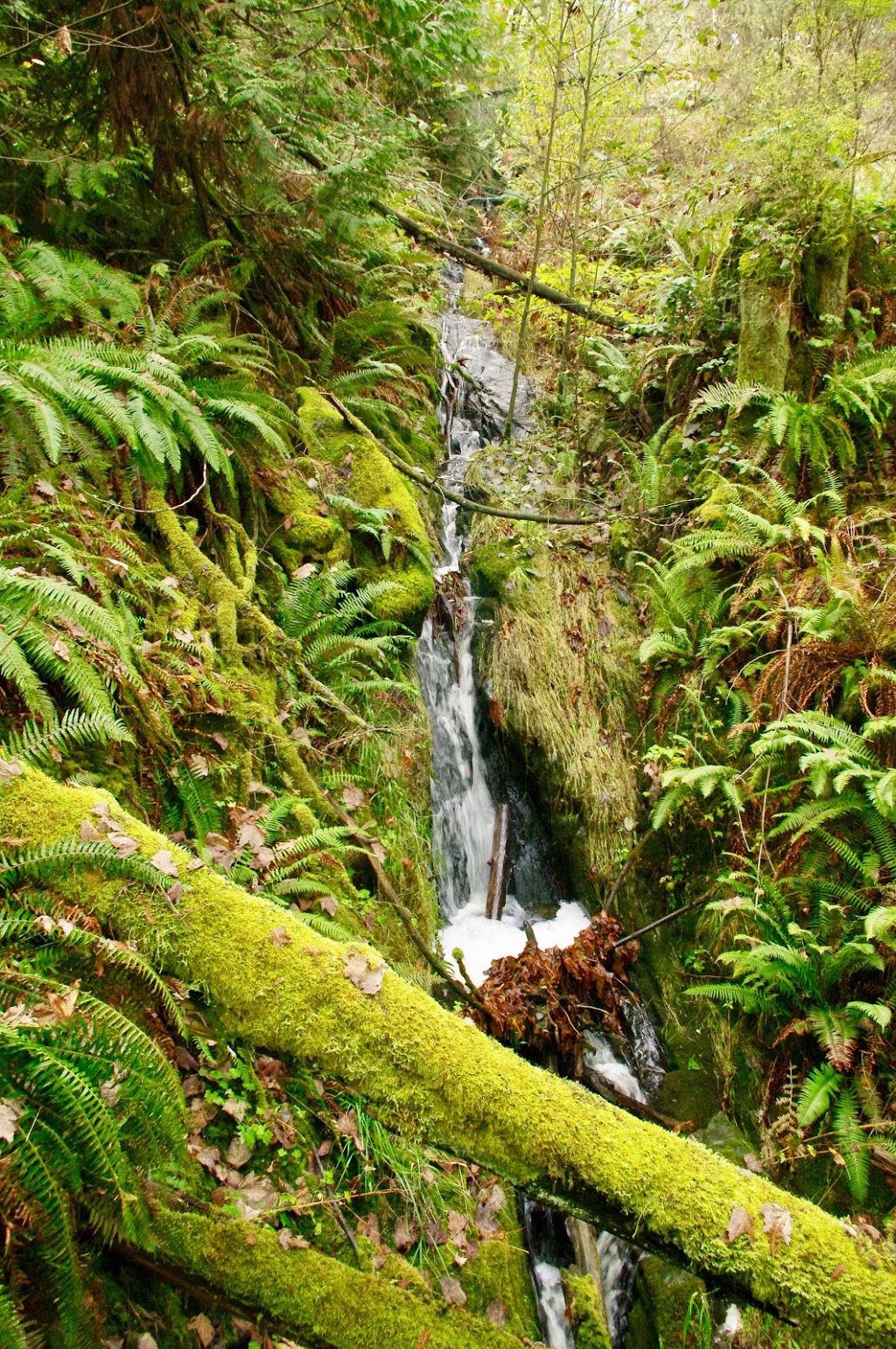 Granfield Way | Aros Rd, Cobble Hill, BC V0R 1L4, Canada | Phone: (250) 746-2500