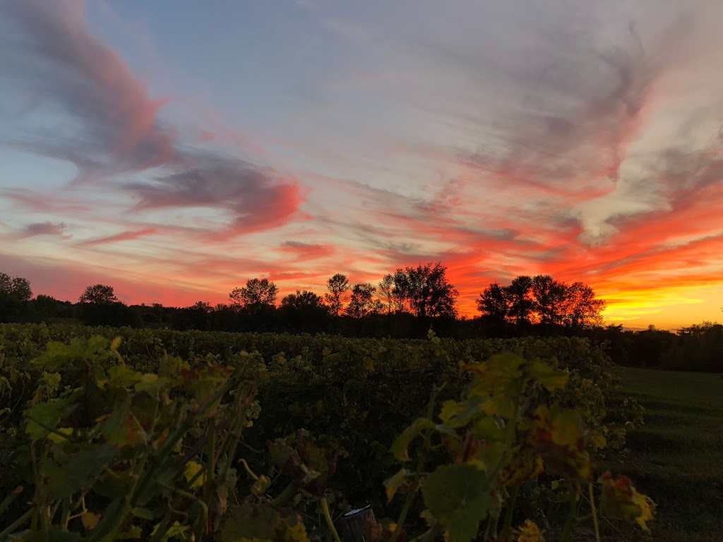 Domaine Des Salamandres | 196 Chemin de Covey Hill, Hemmingford, QC J0L 1H0, Canada | Phone: (450) 247-9000