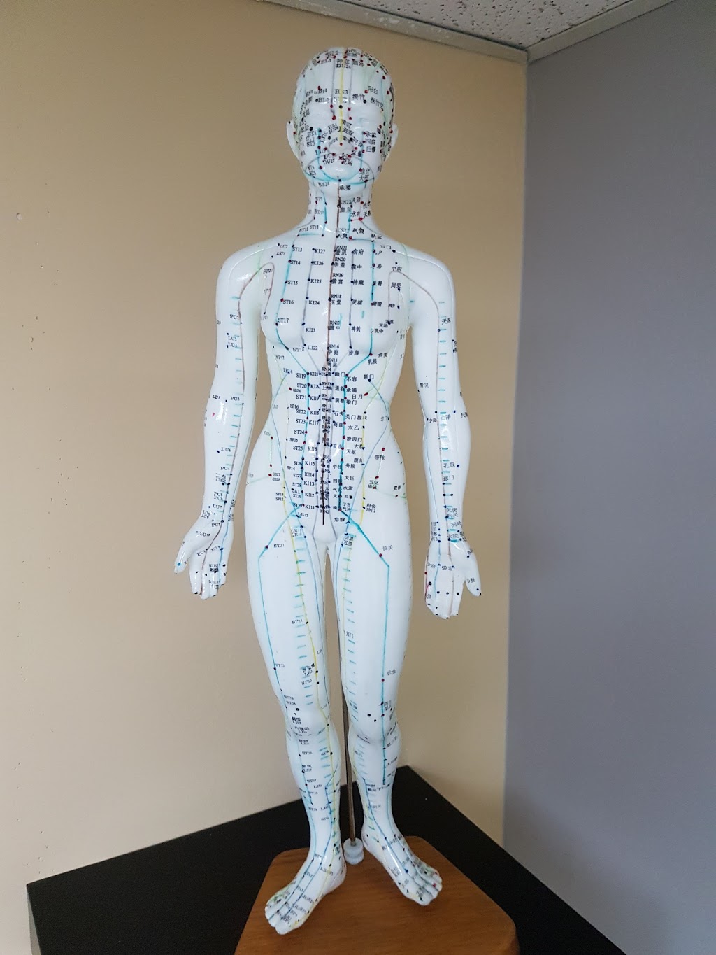 Cordick Chiropractic & Optimum Health Clinic | 48 Wilson St W Unit 3, Perth, ON K7H 2N4, Canada | Phone: (613) 267-6646