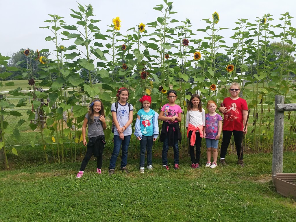 Girl Scouts of Southeastern Michigan - Camp Hawthorn Hollow | 1046 Mayer Rd, Columbus, MI 48063, USA | Phone: (800) 482-6734