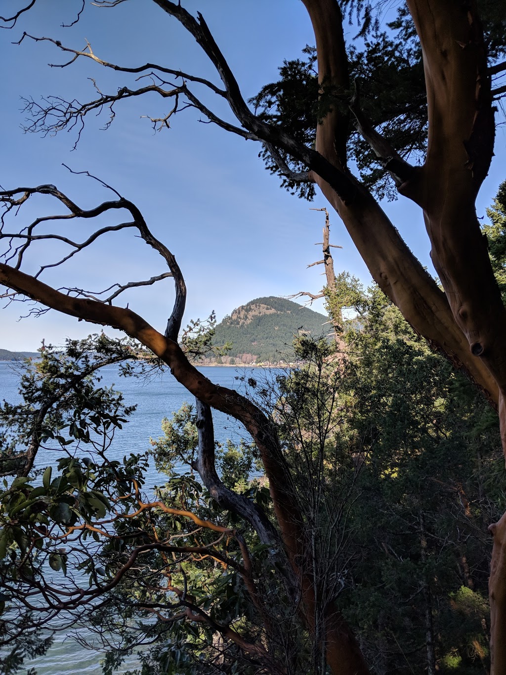 Obstruction Pass State Park | 860 Trailhead Rd, Olga, WA 98279, USA | Phone: (360) 902-8844