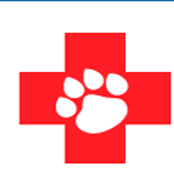 Barrie Animal Hospital | veterinary care | 424 Dunlop St W, Barrie, ON L4N 1C2, Canada | 7057371900 OR +1 705-737-1900