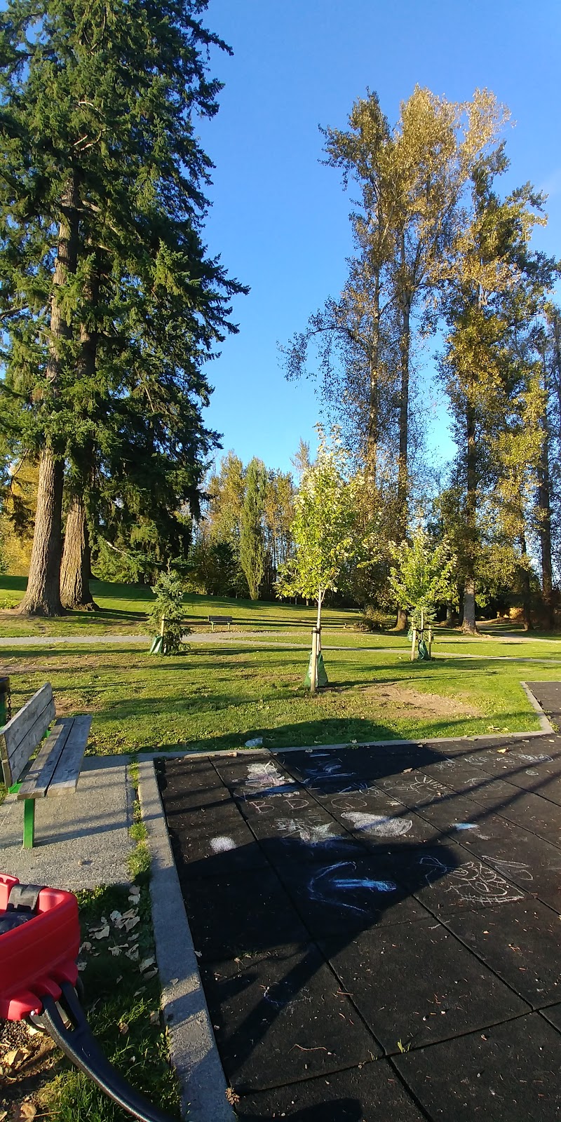 Philip Jackman Park | 27044-27130 32 Ave, Aldergrove, BC V4W 3H6, Canada | Phone: (604) 534-3211